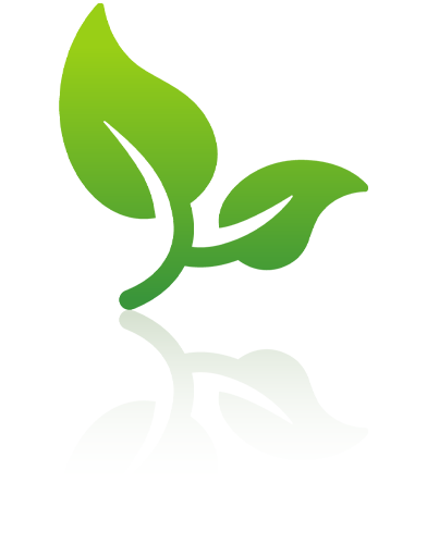 Beskärning och Plantering Beskärning och Plantering